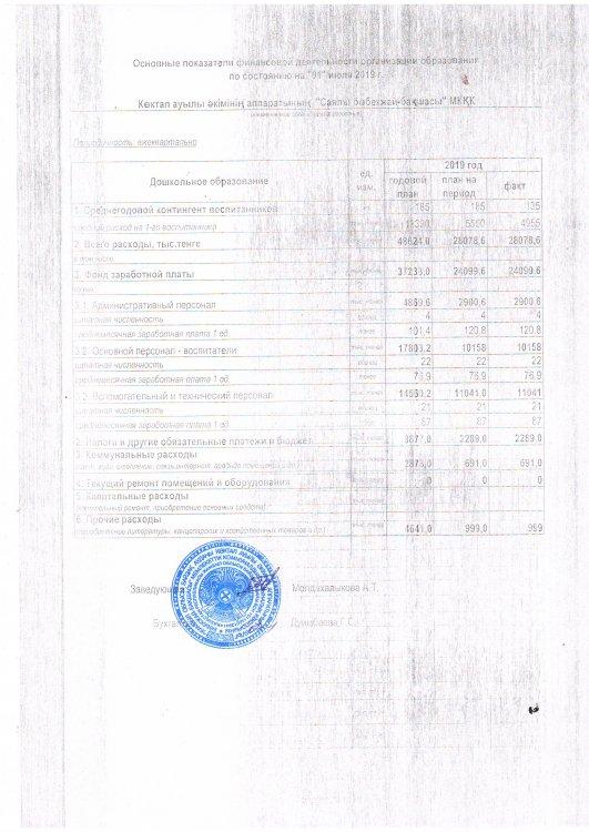 основные показатели финансовой деятельности организации образования по состоянию на 1 июля 2019 г.