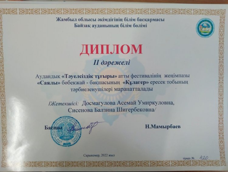 Аудандық фестиваль