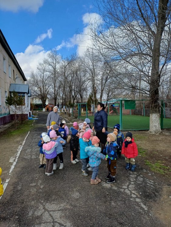 Ашық есік күні